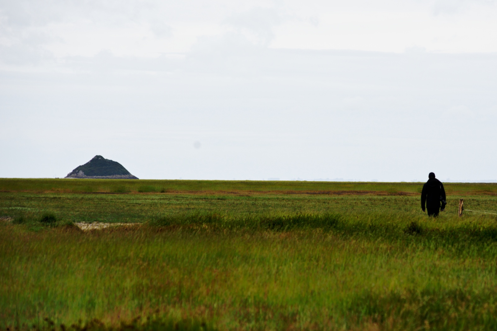 Paysages